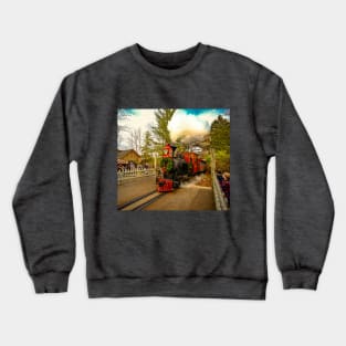 Frisco Silver Dollar Line Crewneck Sweatshirt